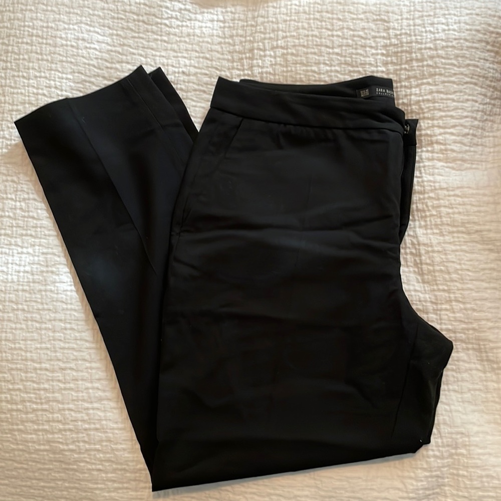 Zara slacks Sz 40 (US 8)